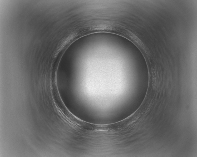X0000052650482200507082036