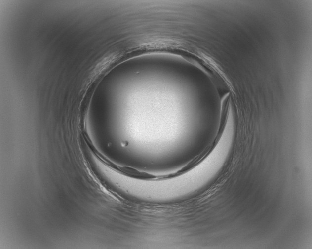 X0000052650485200507082036
