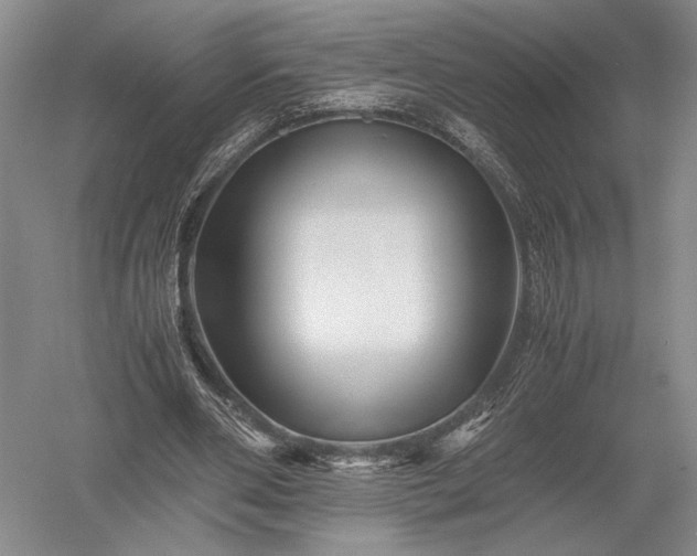 X0000052650486200507082036
