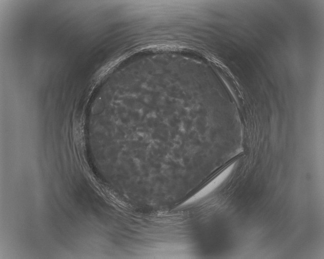 X0000052650487200507082036