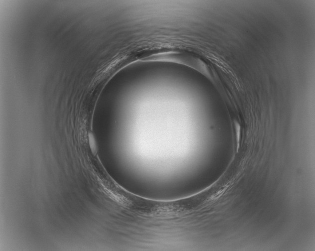 X0000052650489200507082035