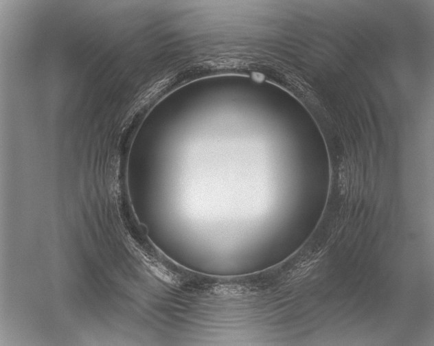 X0000052650490200507082035