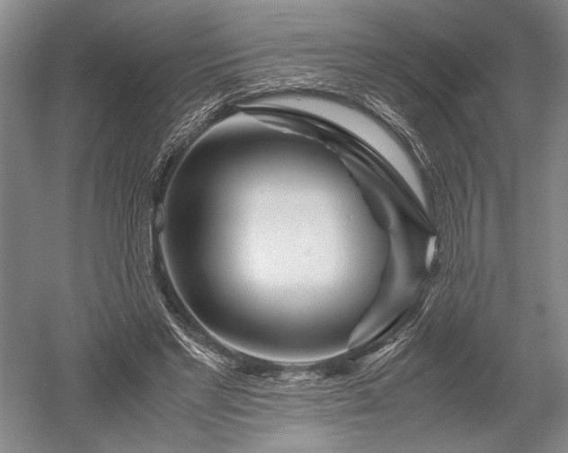 X0000052650493200507082035
