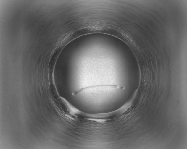 X0000052650494200507082035
