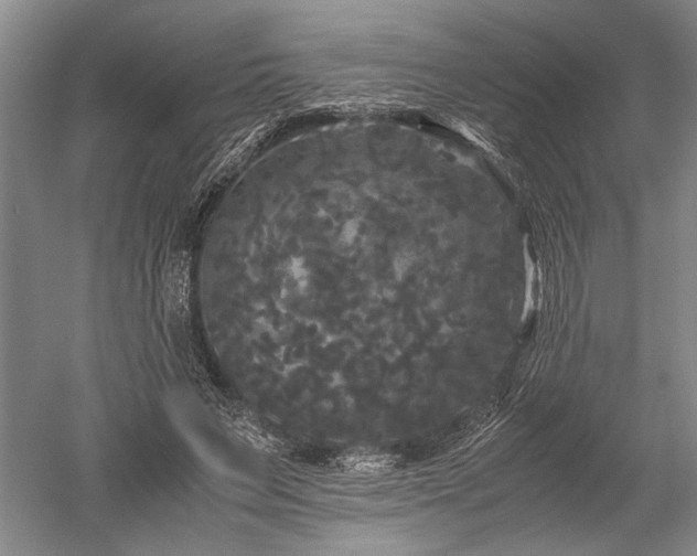 X0000052650495200507082035