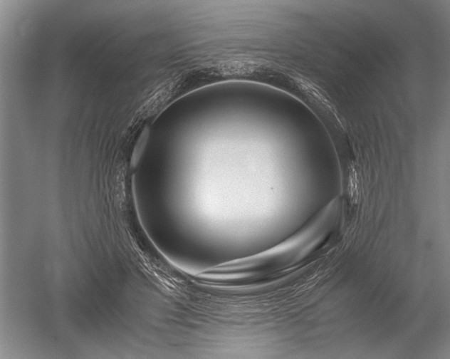 X0000052650501200507082035