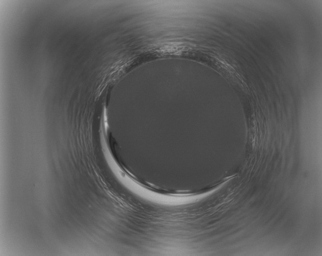 X0000052650504200507082035