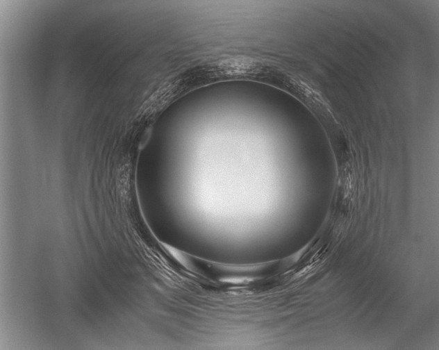 X0000052650509200507082035