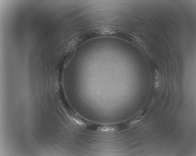 X0000052650512200507082035