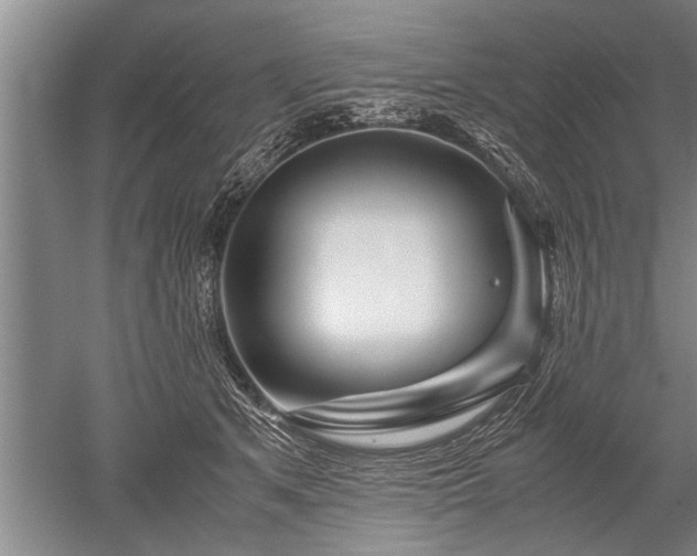 X0000052650513200507082035