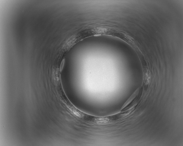 X0000052650525200507082035