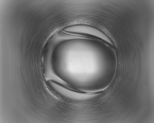 X0000052650530200507082034