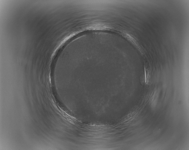 X0000052650531200507082034