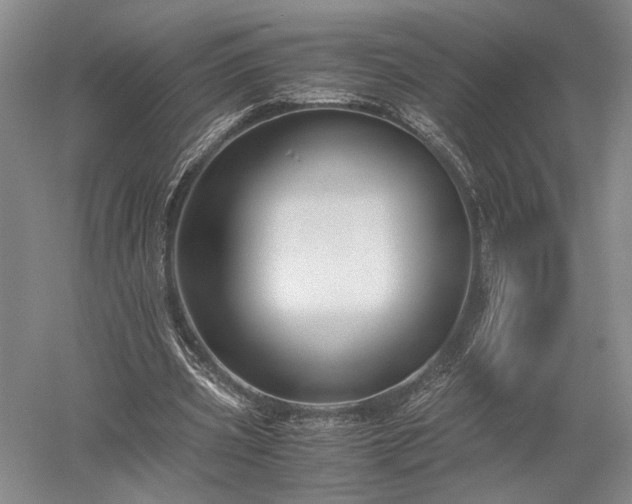 X0000052650533200507082034