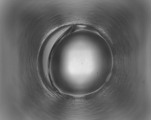 X0000052650536200507082034