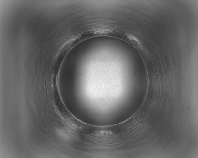 X0000052650543200507082034