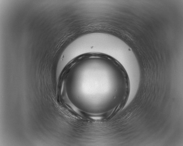 X0000052650546200507082034