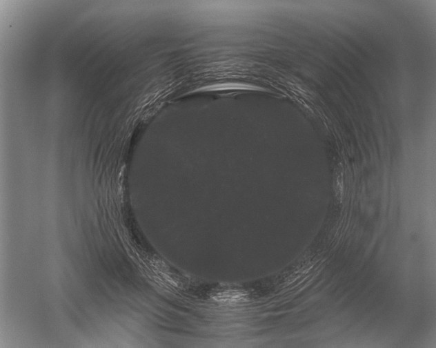 X0000052650551200507082034