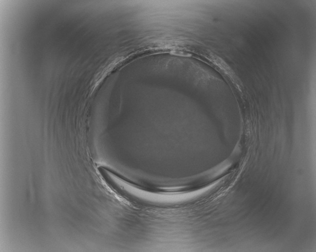 X0000052650577200507082034