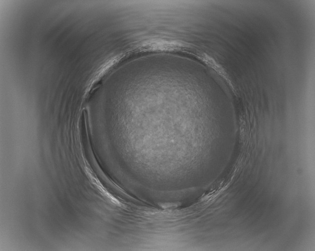X0000052650581200507082034