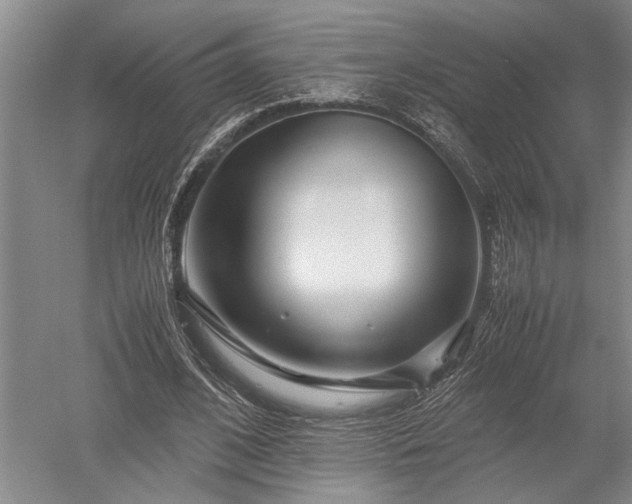 X0000052650584200507082034