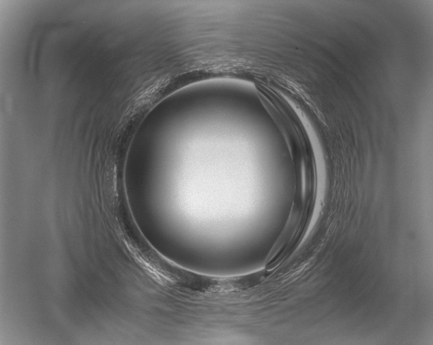 X0000052650589200507082034