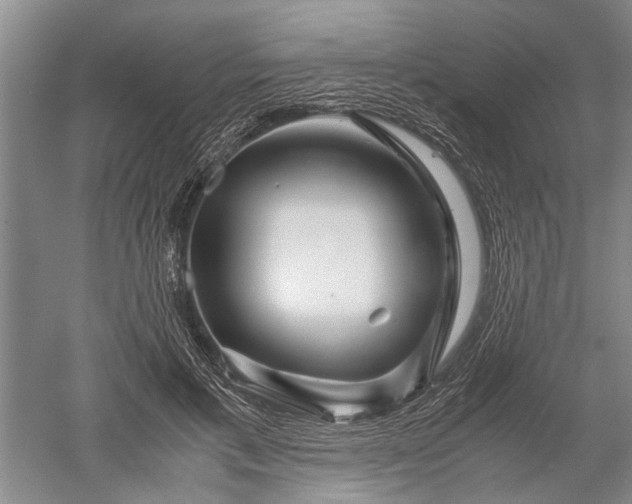 X0000052650597200507082034
