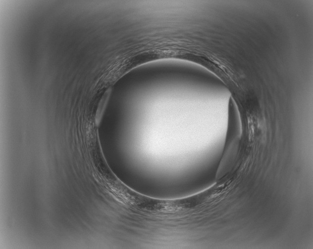 X0000052650601200507082034