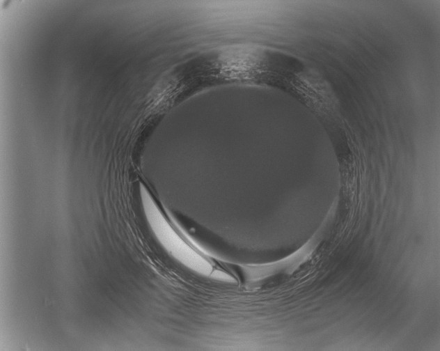 X0000052650603200507082034