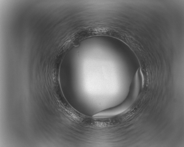 X0000052650608200507082033