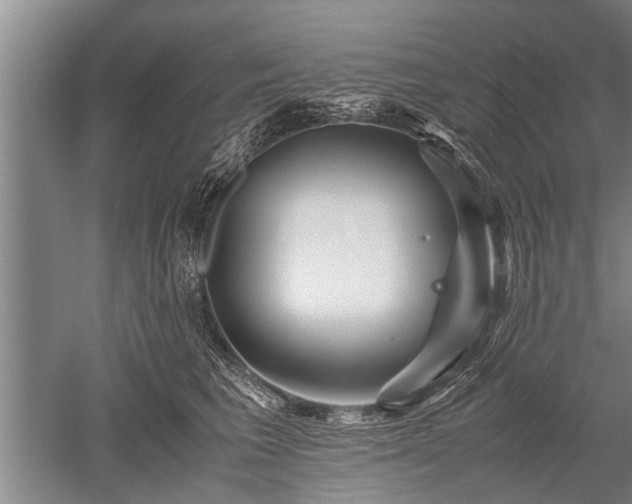 X0000052650613200507082033