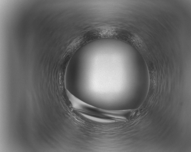 X0000052650619200507082033