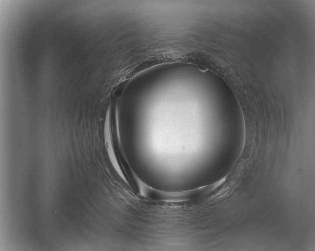 X0000052650624200507082033