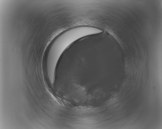 X0000052650626200507082032