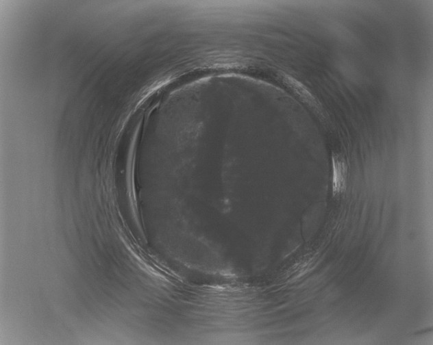 X0000052650627200507082032