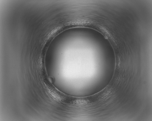 X0000052650636200507082033