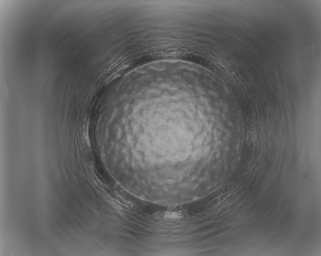 X0000052650647200507082033