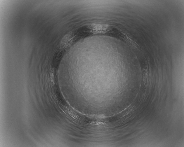 X0000052650655200507082033
