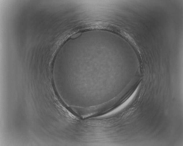 X0000052650673200507082032