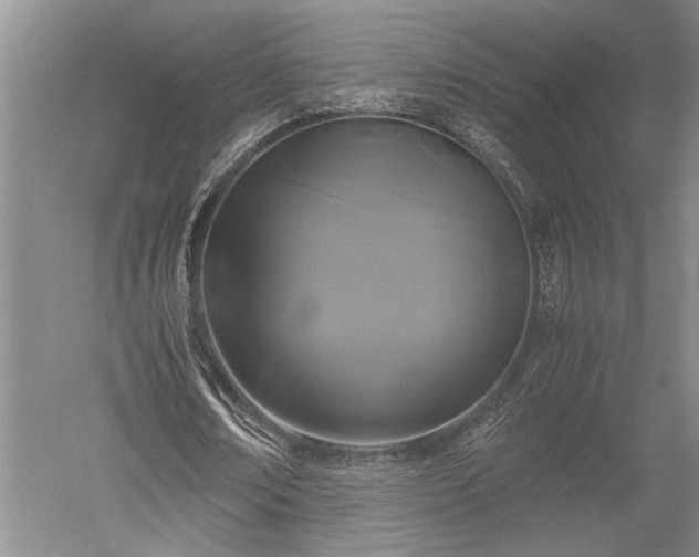 X0000052650674200507082032