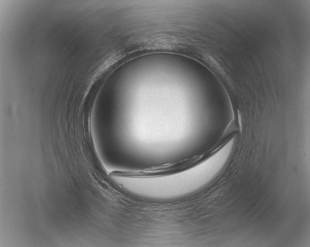 X0000052650675200507082032