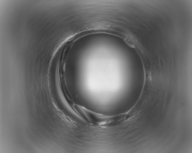 X0000052650676200507082032