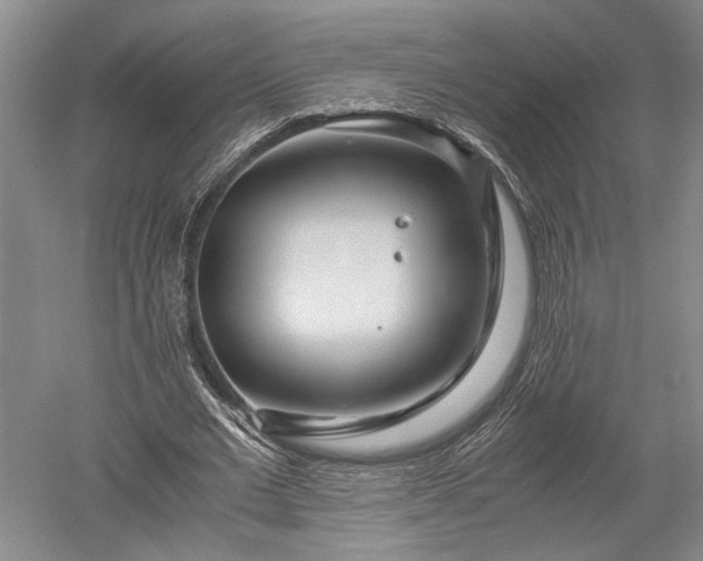 X0000052650677200507082032