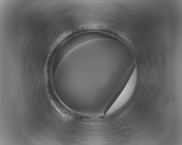X0000052650678200507082032