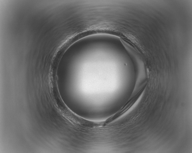 X0000052650680200507082032