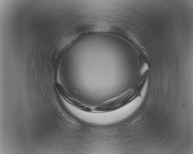 X0000052650681200507082032