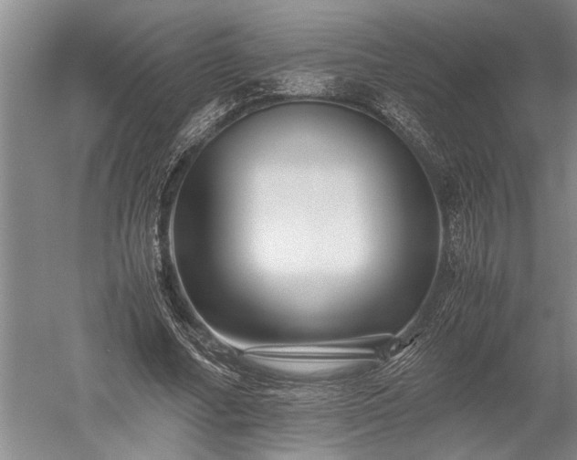 X0000052650682200507082032