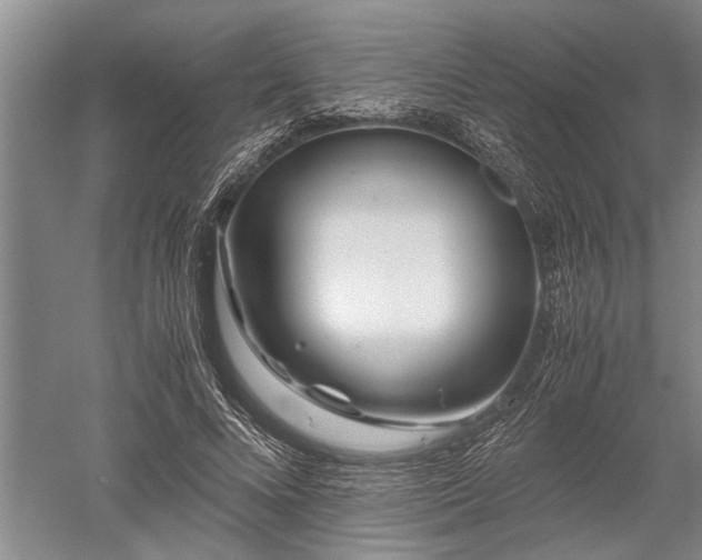 X0000052650688200507082032
