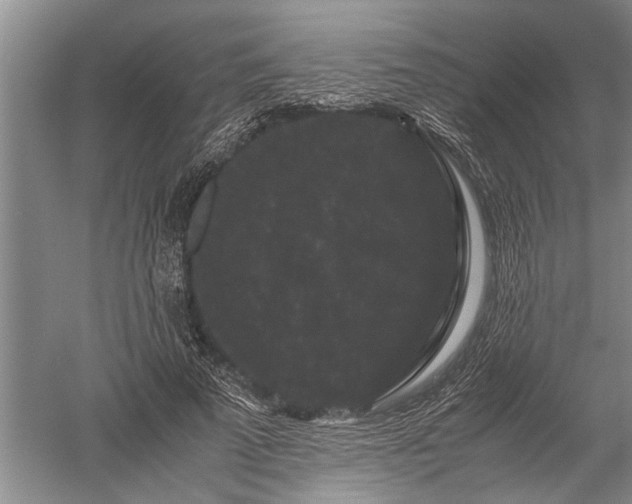 X0000052650689200507082032