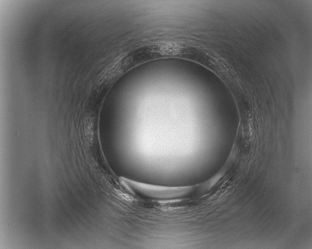 X0000052650697200507082032